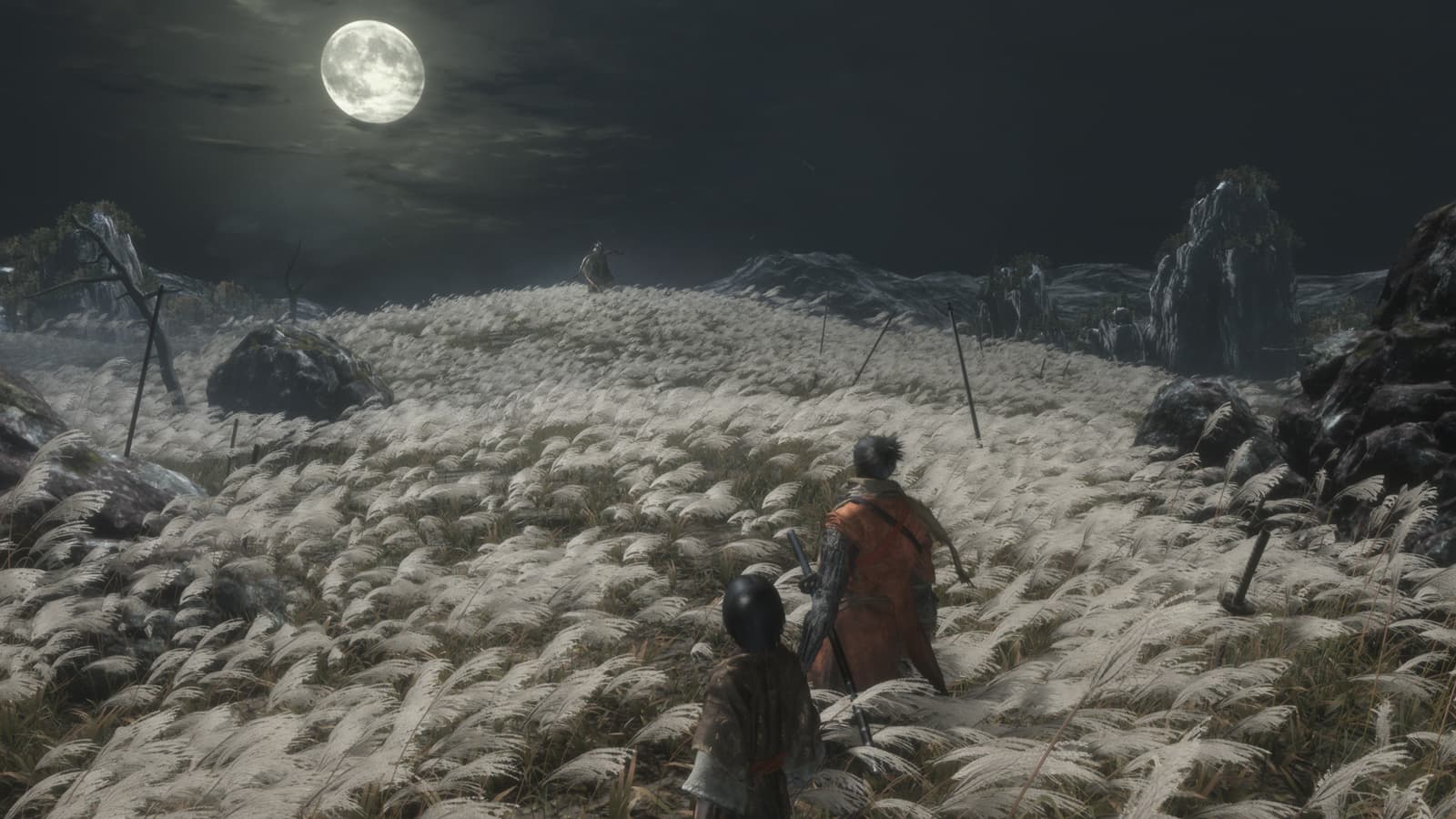 Main Visual
